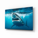 Shark Glass Wall Art