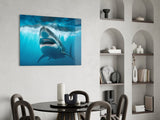 Shark Glass Wall Art