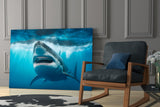 Shark Glass Wall Art