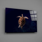 Tortoise Glass Wall Art