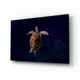 Tortoise Glass Wall Art