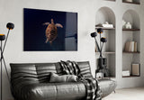 Tortoise Glass Wall Art