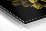 Brushed Aluminium Dibond Wall Art