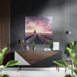 Tulip Field Brushed Aluminium Dibond Wall Art