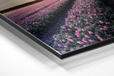 Brushed Aluminium Dibond Wall Art