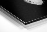 Brushed Aluminium Dibond Wall Art