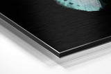 Brushed Aluminium Dibond Wall Art