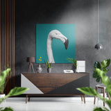 Albino Flamingo Brushed Aluminium Dibond Wall Art