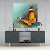 Butterfly Glass Wall Art