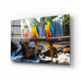 Papageien Glasbild