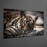 Tiger 4 Pieces Mega Glass Wall Art (150x92 cm)