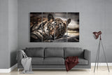 Tiger 4 Pieces Mega Glass Wall Art (150x92 cm)