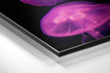 Brushed Aluminium Dibond Wall Art