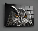 Owl Glass Wall Art