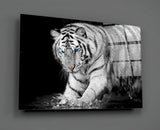 Tiger of the Bengal Glass Wall Art