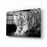 Tiger of the Bengal Glass Wall Art