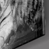 Tiger of the Bengal Glass Wall Art