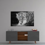 Tiger of the Bengal Glass Wall Art